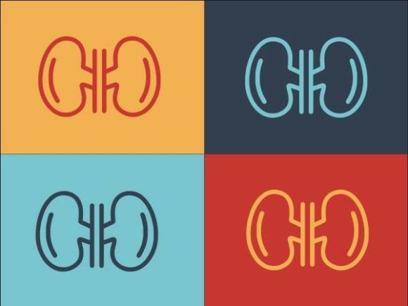 Medical Kidney: Graphics and Logos for Professional Design